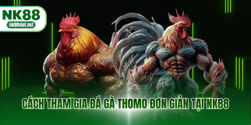 Cách tham gia đá gà Thomo đơn giản tại web