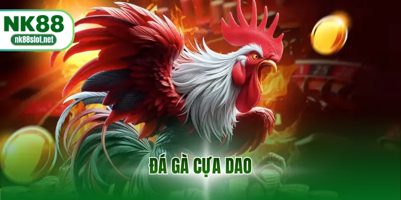 Đá gà cựa dao
